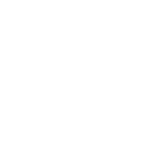 CCTV Surveillance